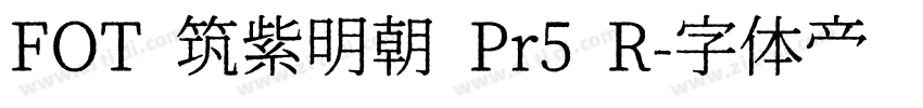 FOT 筑紫明朝 Pr5 R字体转换